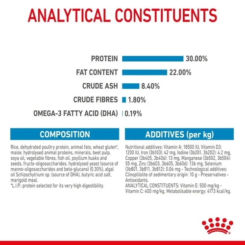 Royal Canin Maxi Starter Mother and Babydog Dry Dog Food