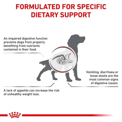 Royal Canin Veterinary Gastrointestinal Dry Dog Food for Digestive Health