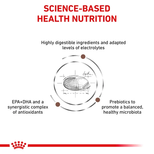 Royal Canin Veterinary Gastrointestinal Dry Dog Food for Digestive Health