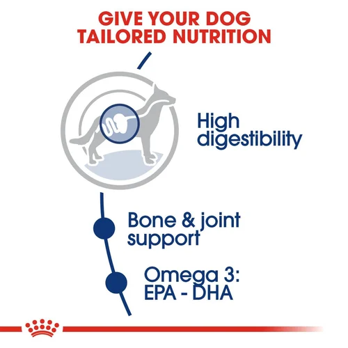 Royal Canin Maxi Adult Dry Dog Food for Large Breed Adult Dogs