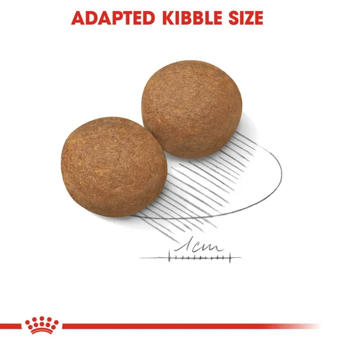 Royal Canin Maxi Adult Dry Dog Food | Pets Grocery Store