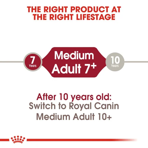 Royal Canin Medium Adult Dog Food 4kg | Pets Grocery Store