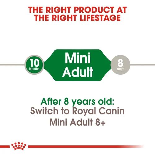 Royal Canin Mini Adult Dog Food 4kg | Pets Grocery Store