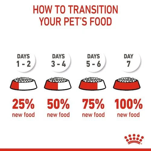 Royal Canin Kitten Dry Cat Food for Growing Kittens