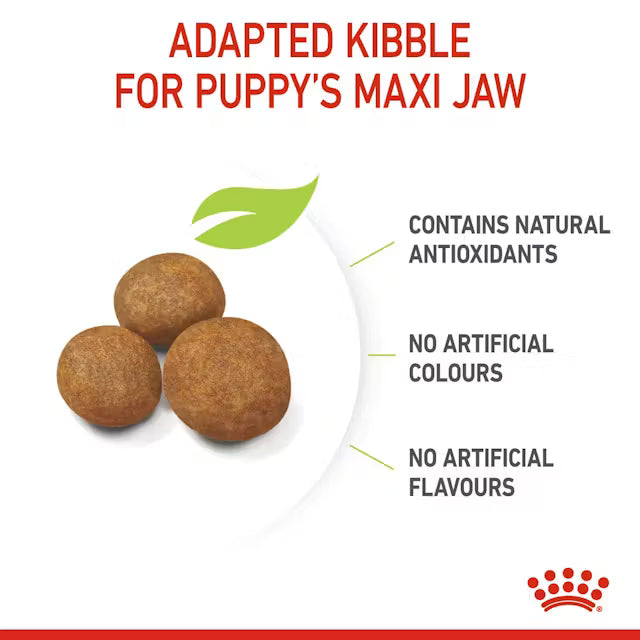 Royal Canin Maxi Puppy Dry Dog Food for Large Breed Puppies