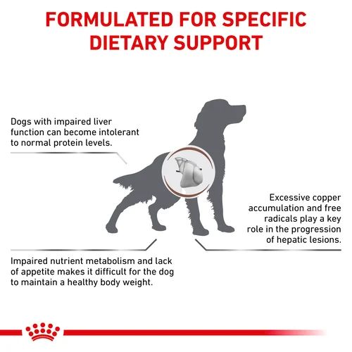 Royal Canin Veterinary Hepatic Dry Dog Food for Liver Support